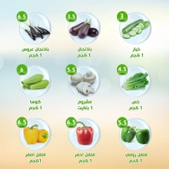 Page 10 |Weekly offers at Alnahda almasria UAE
