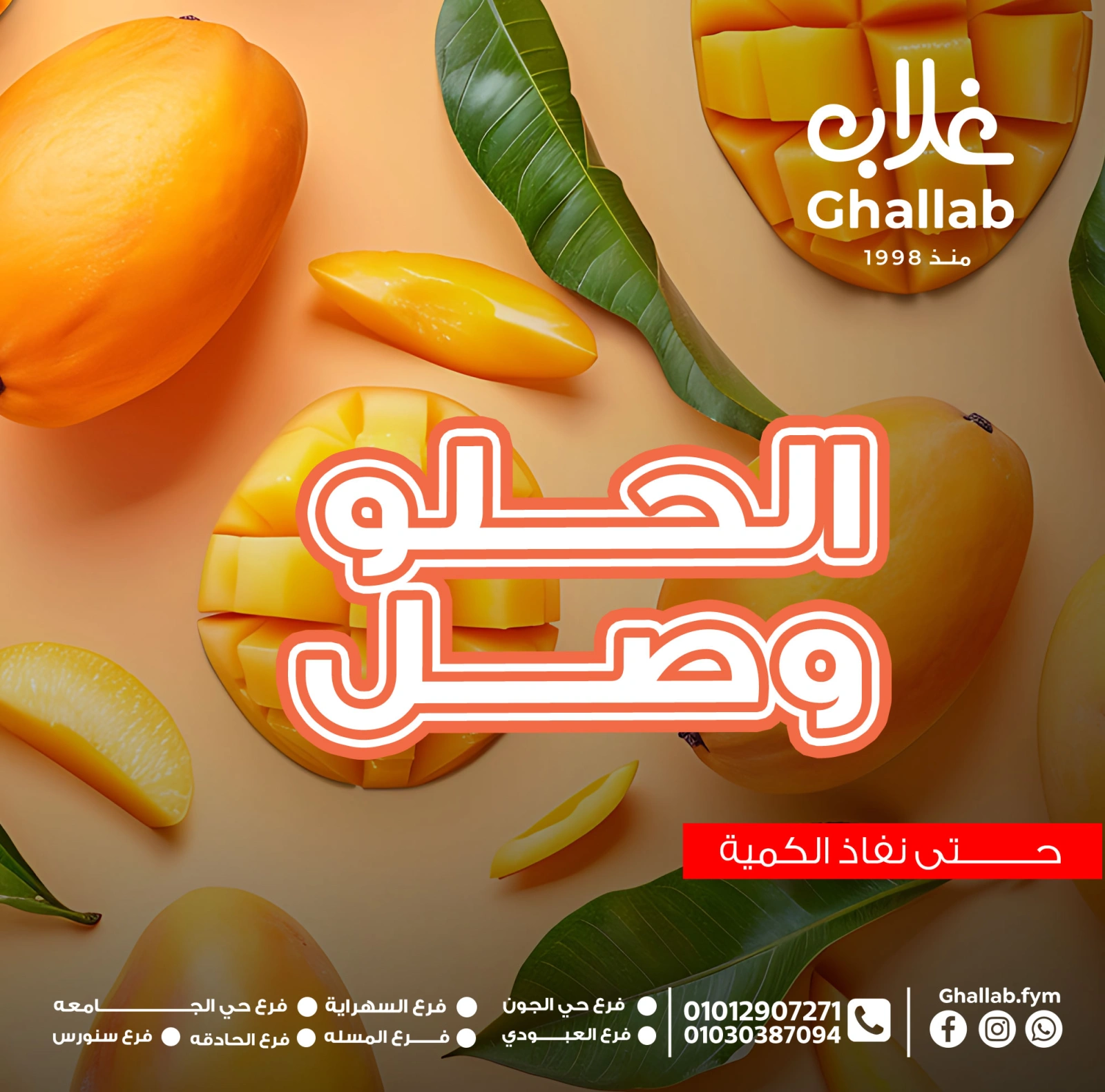 صفحة 1 ضمن عروض الطازج في أسواق غلاب مصر