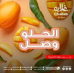 صفحة 1 ضمن عروض الطازج في أسواق غلاب مصر