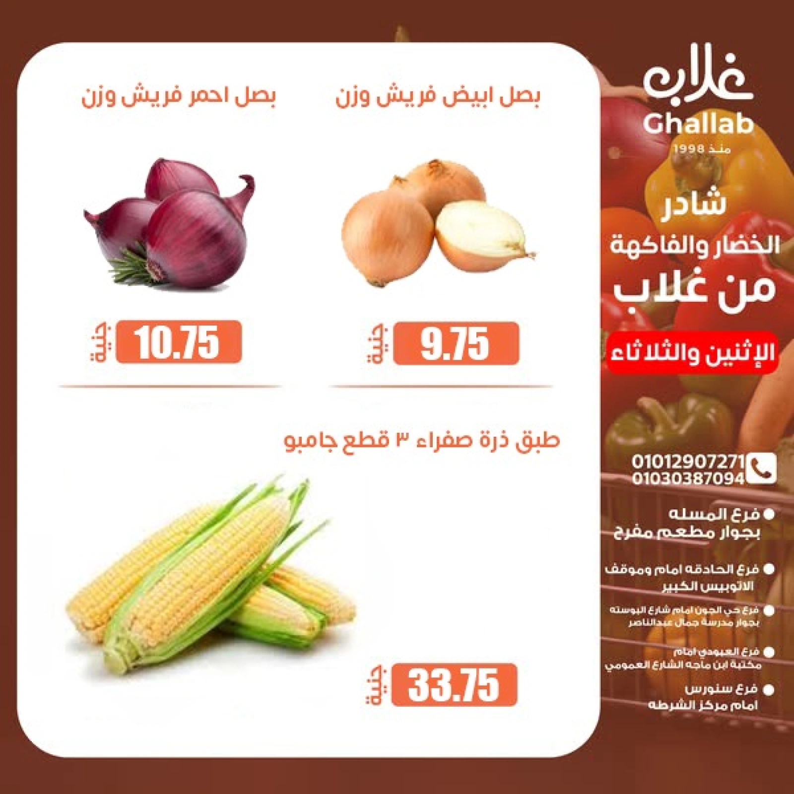 صفحة 10 ضمن عروض الطازج في أسواق غلاب مصر