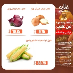 صفحة 10 ضمن عروض الطازج في أسواق غلاب مصر