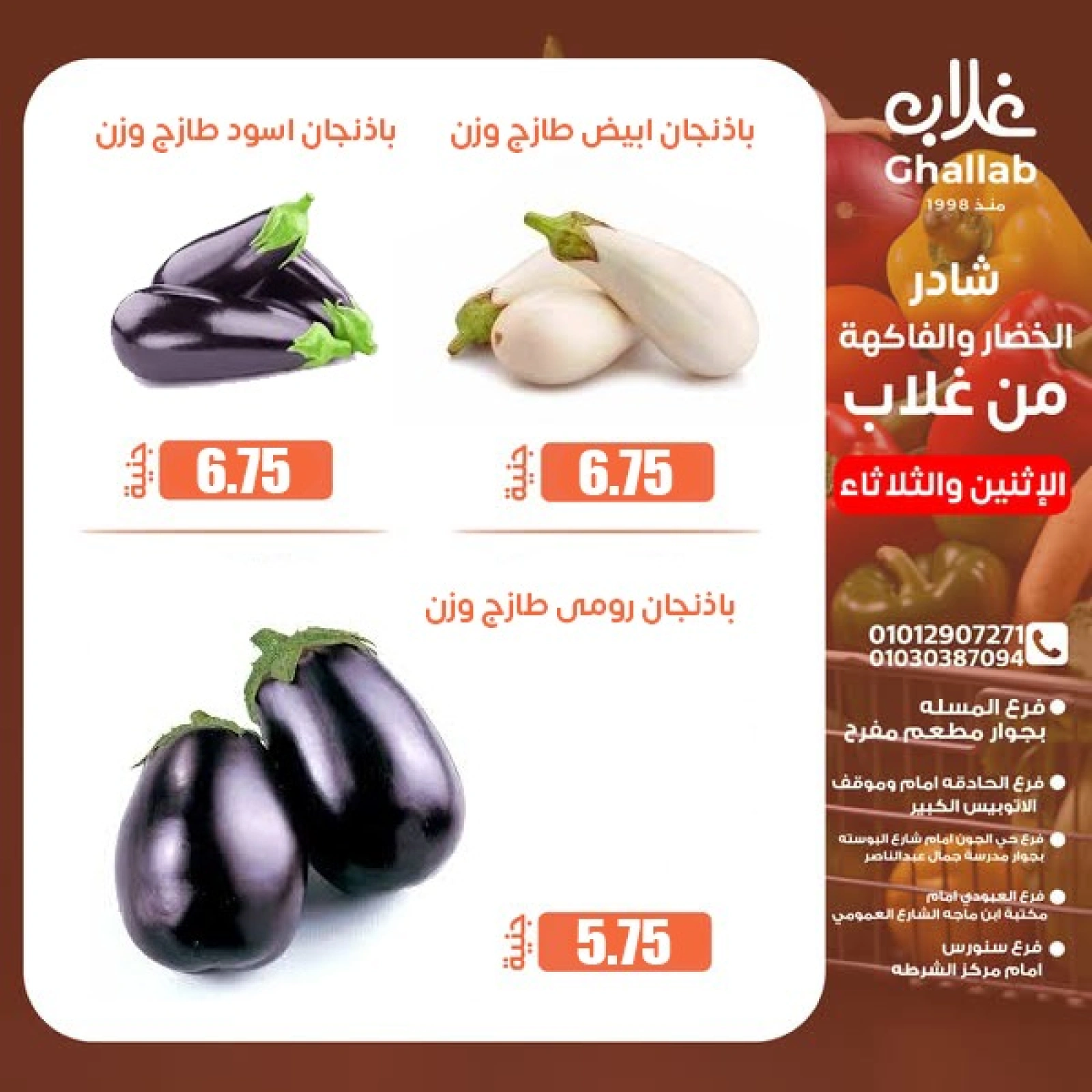صفحة 11 ضمن عروض الطازج في أسواق غلاب مصر