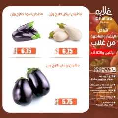 صفحة 11 ضمن عروض الطازج في أسواق غلاب مصر