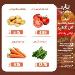 صفحة 12 ضمن عروض الطازج في أسواق غلاب مصر