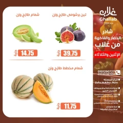 صفحة 7 ضمن عروض الطازج في أسواق غلاب مصر