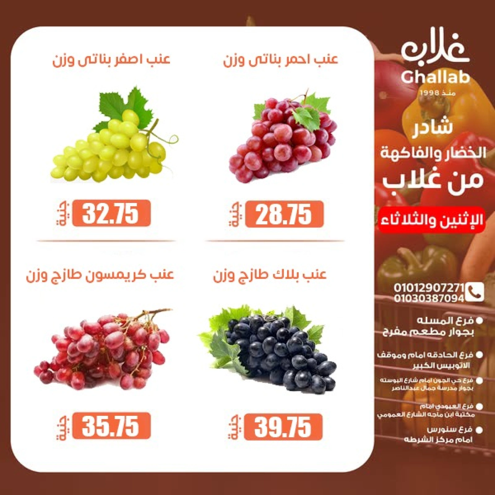 صفحة 5 ضمن عروض الطازج في أسواق غلاب مصر