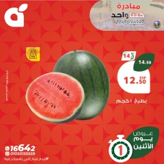 صفحة 8 ضمن عروض يوم الإثنين في بنده مصر