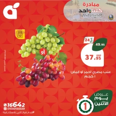 صفحة 9 ضمن عروض يوم الإثنين في بنده مصر