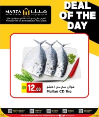 صفحة 2 ضمن صفقة اليوم في مرزا هايبر ماركت قطر