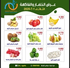 Page 3 |Vegetable and fruit offers at Alegaila co-op Kuwait