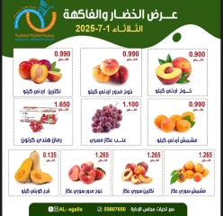 Page 6 |Vegetable and fruit offers at Alegaila co-op Kuwait
