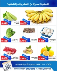 Page 3 |Vegetable and fruit offers at Shamieh coop Kuwait
