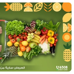 Page 2 |Vegetable and fruit offers at Al Rayah Market Egypt