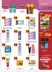 Page 29 |Frozen Offers at Al Rayah Market Egypt