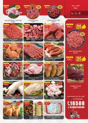 Page 2 |Frozen Offers at Al Rayah Market Egypt