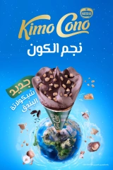 Page 11 |Frozen Offers at Al Rayah Market Egypt