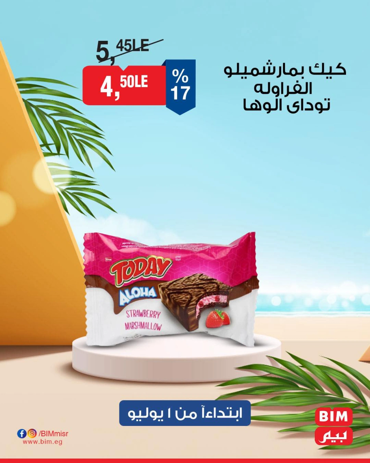 Page 41 |Offres à prix réduits EN Marché du BIM Egypte