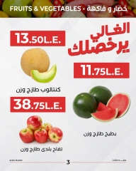 Page 4 |Vegetable and fruit offers at Arafa market Egypt