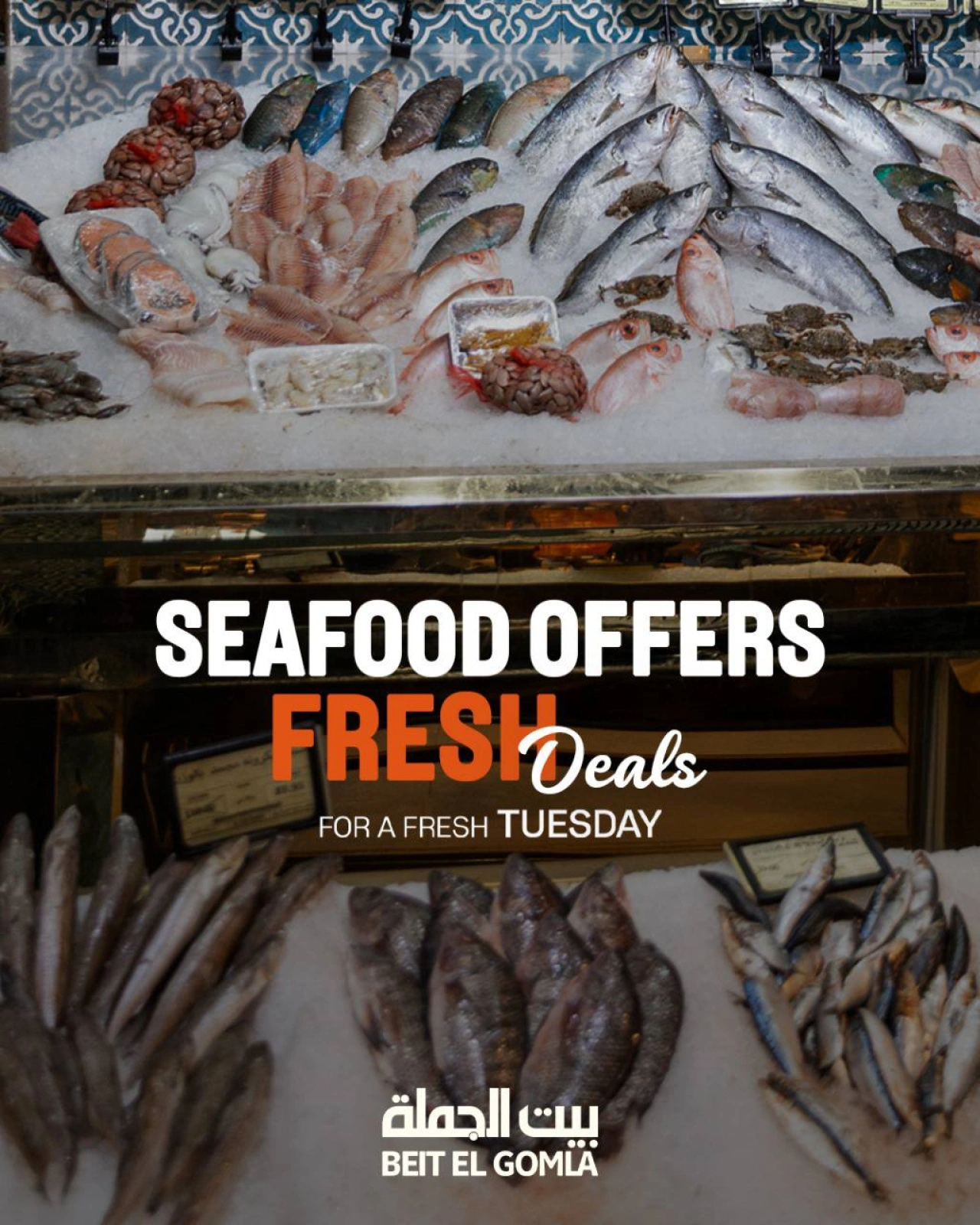 Page 1 |Seafood Deals at Gomla House Egypt