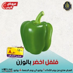 Page 37 |Saving Deals at El Sorady market Egypt