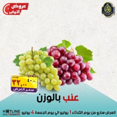 Page 35 |Saving Deals at El Sorady market Egypt