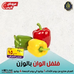 Page 38 |Saving Deals at El Sorady market Egypt