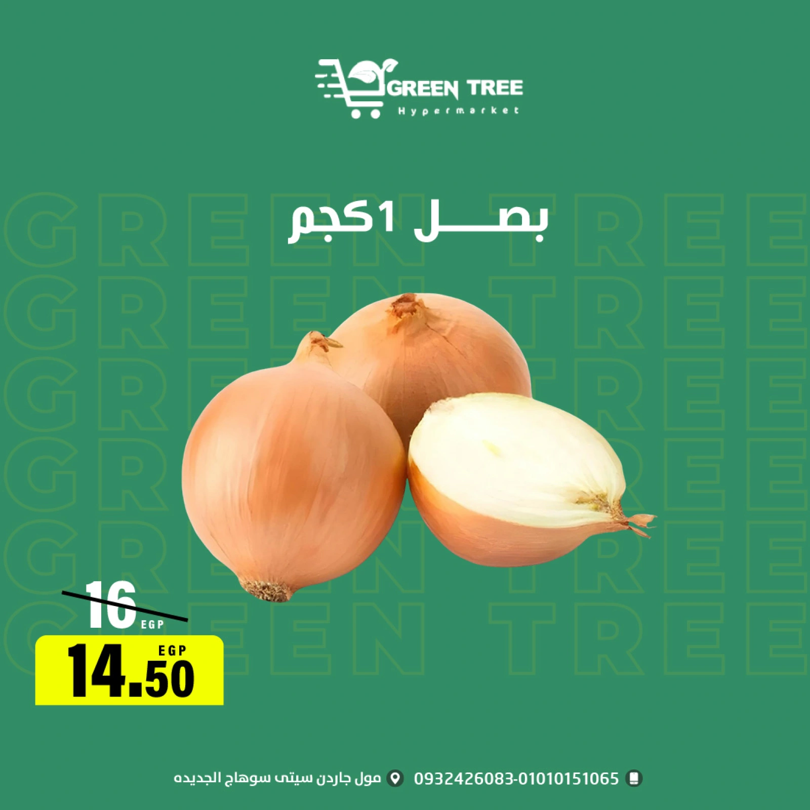 Página 12 |ofertas de verano en Green Tree Egipto