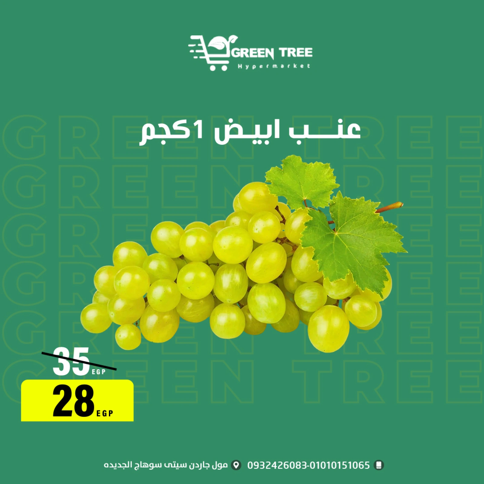 Página 4 |ofertas de verano en Green Tree Egipto