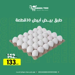 Page 13 |Summer Deals at Green Tree Egypt