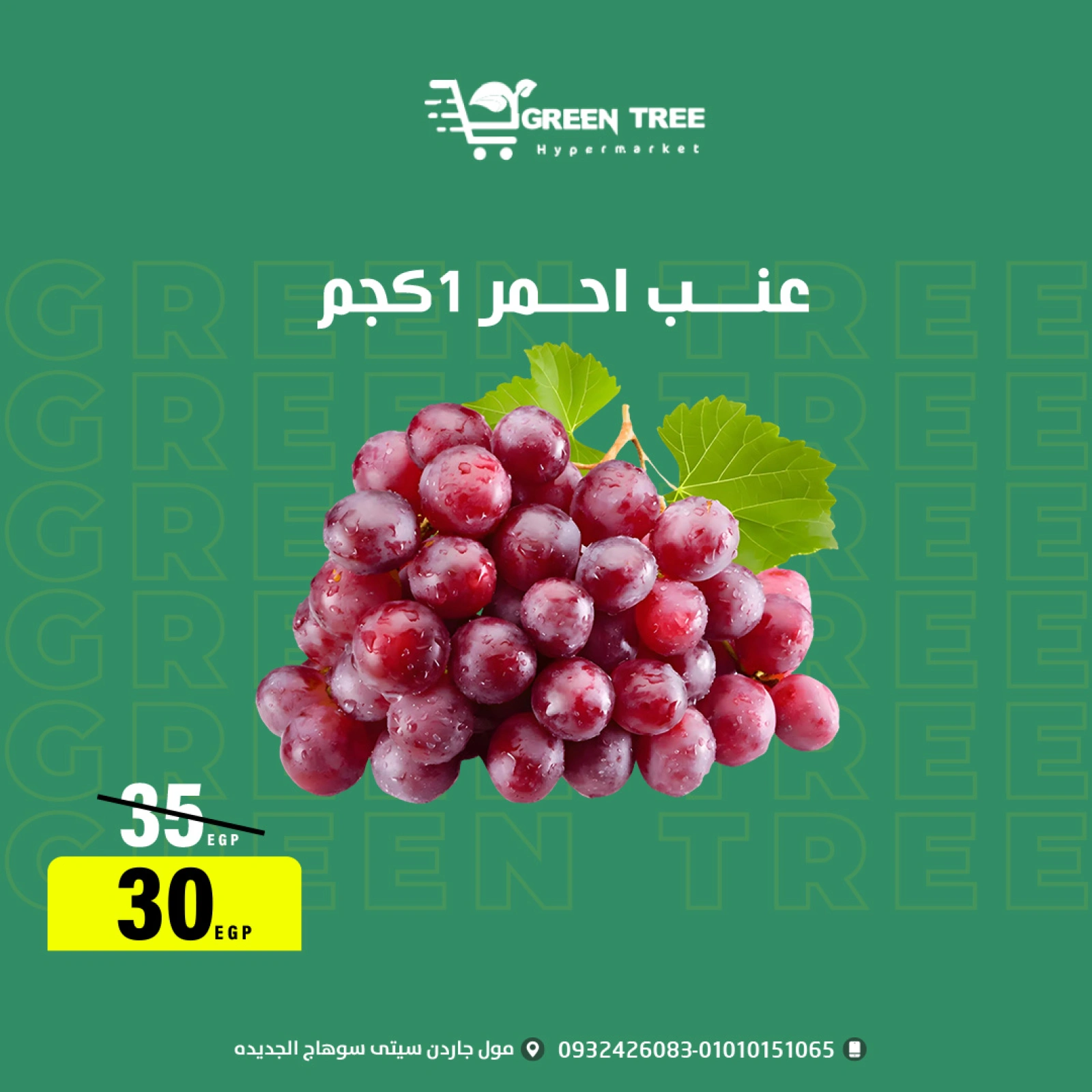 Página 5 |ofertas de verano en Green Tree Egipto