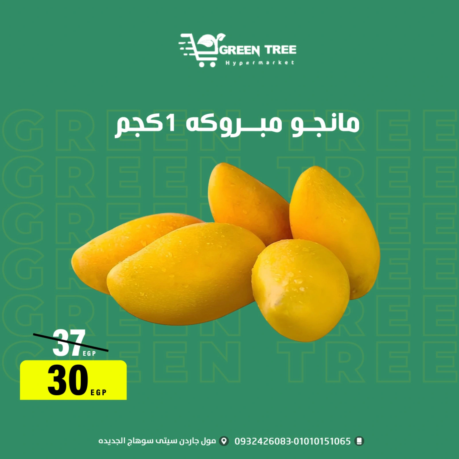 Página 6 |ofertas de verano en Green Tree Egipto