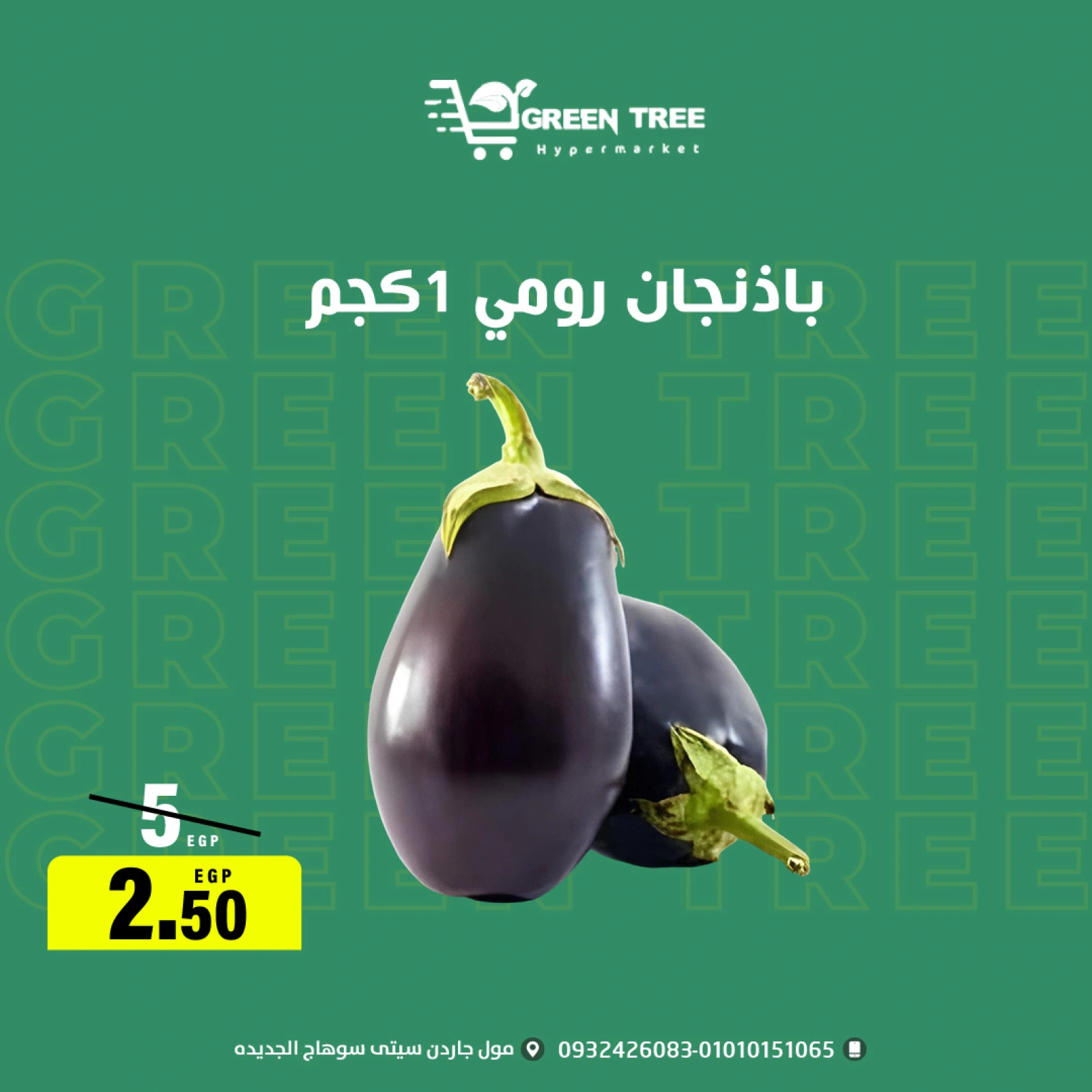 Página 9 |ofertas de verano en Green Tree Egipto