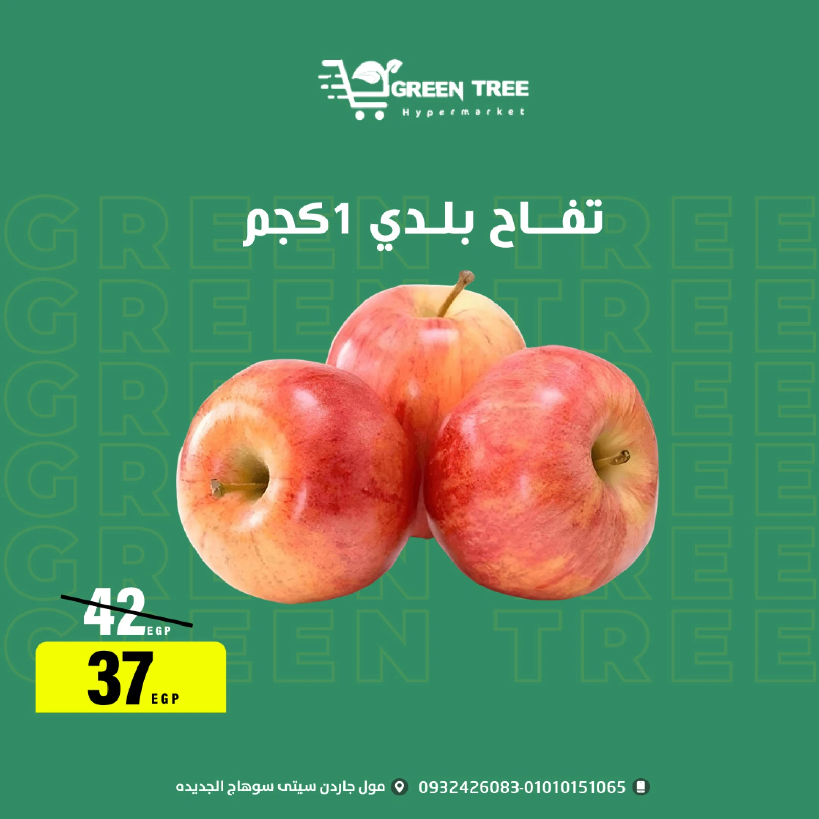 Página 7 |ofertas de verano en Green Tree Egipto