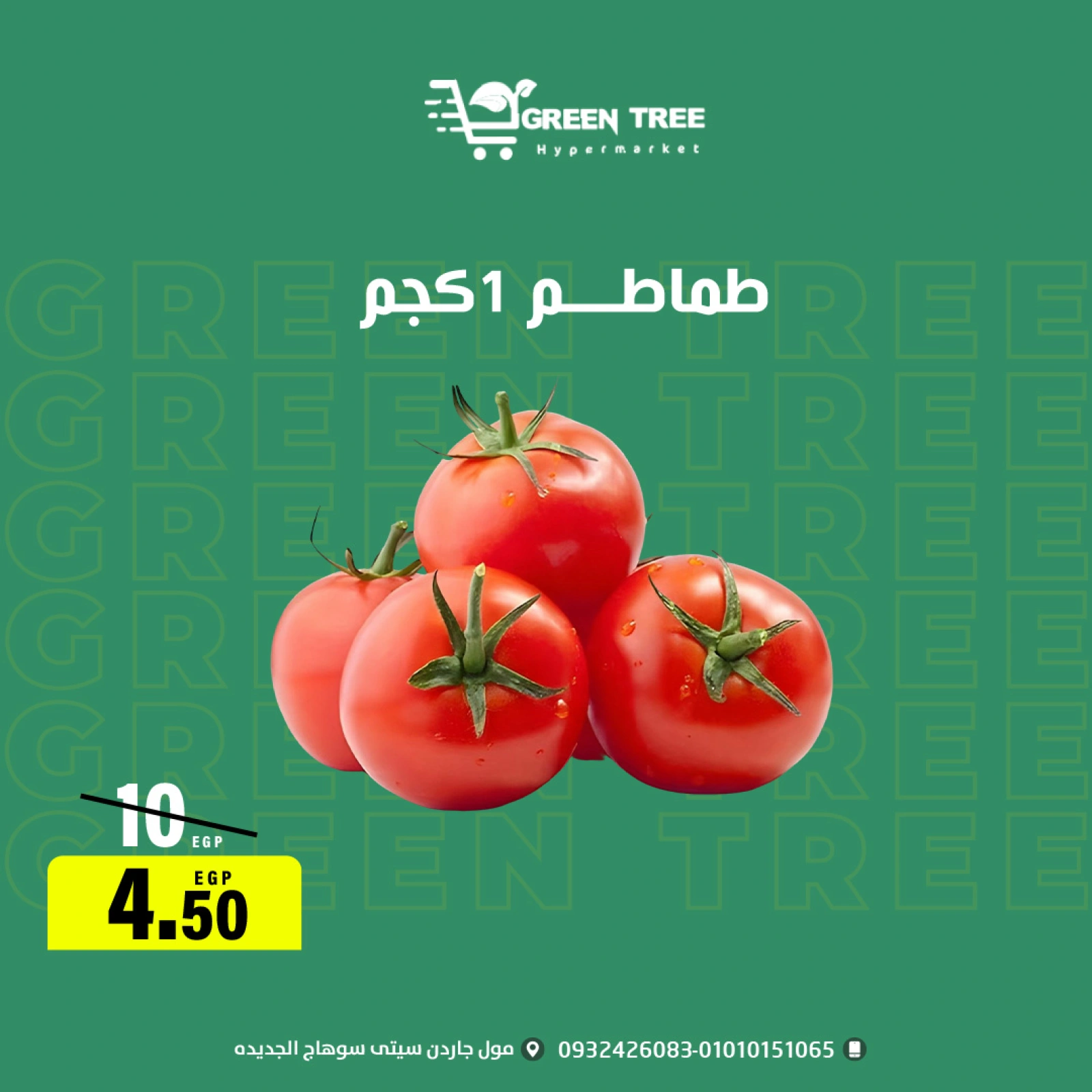 Página 11 |ofertas de verano en Green Tree Egipto
