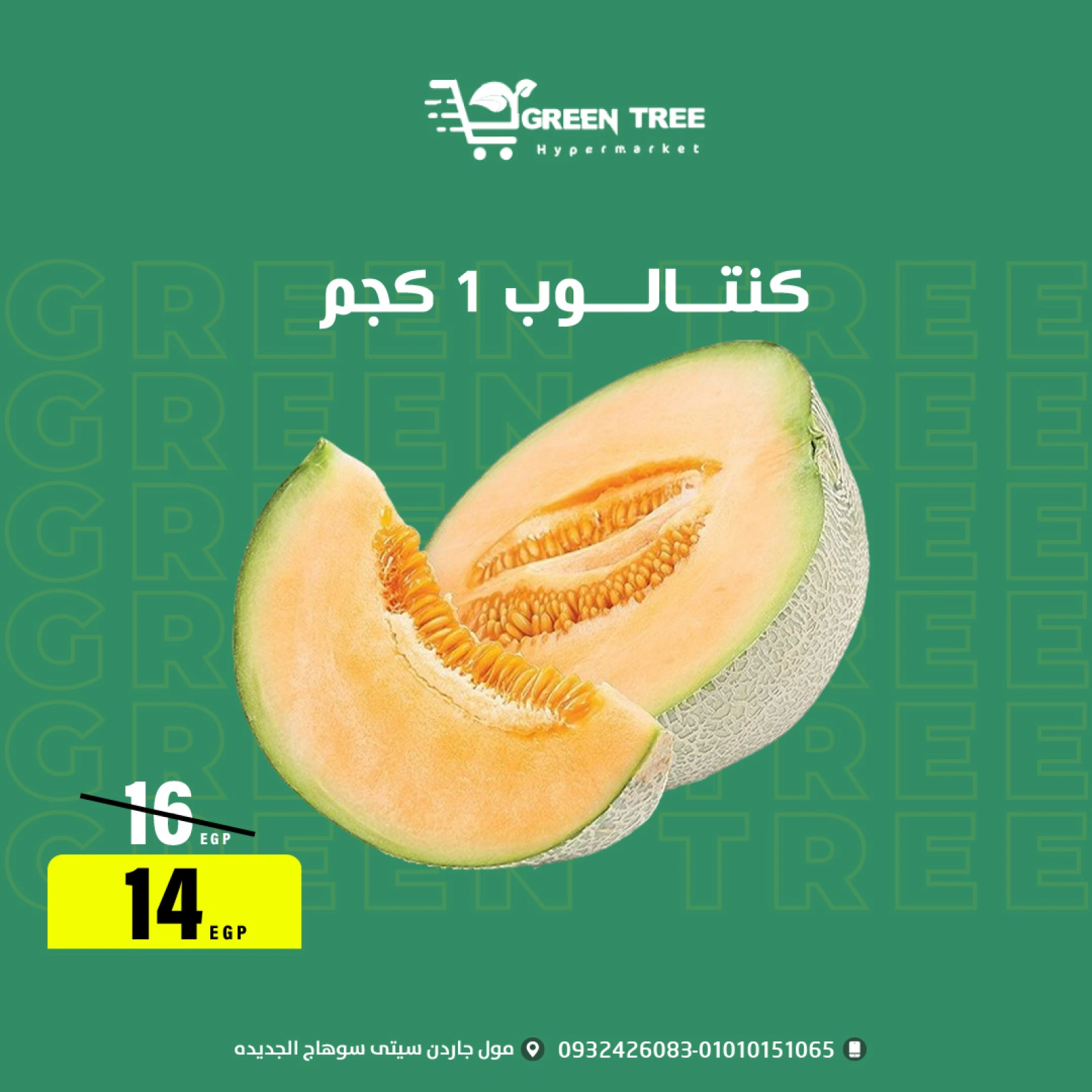Página 3 |ofertas de verano en Green Tree Egipto