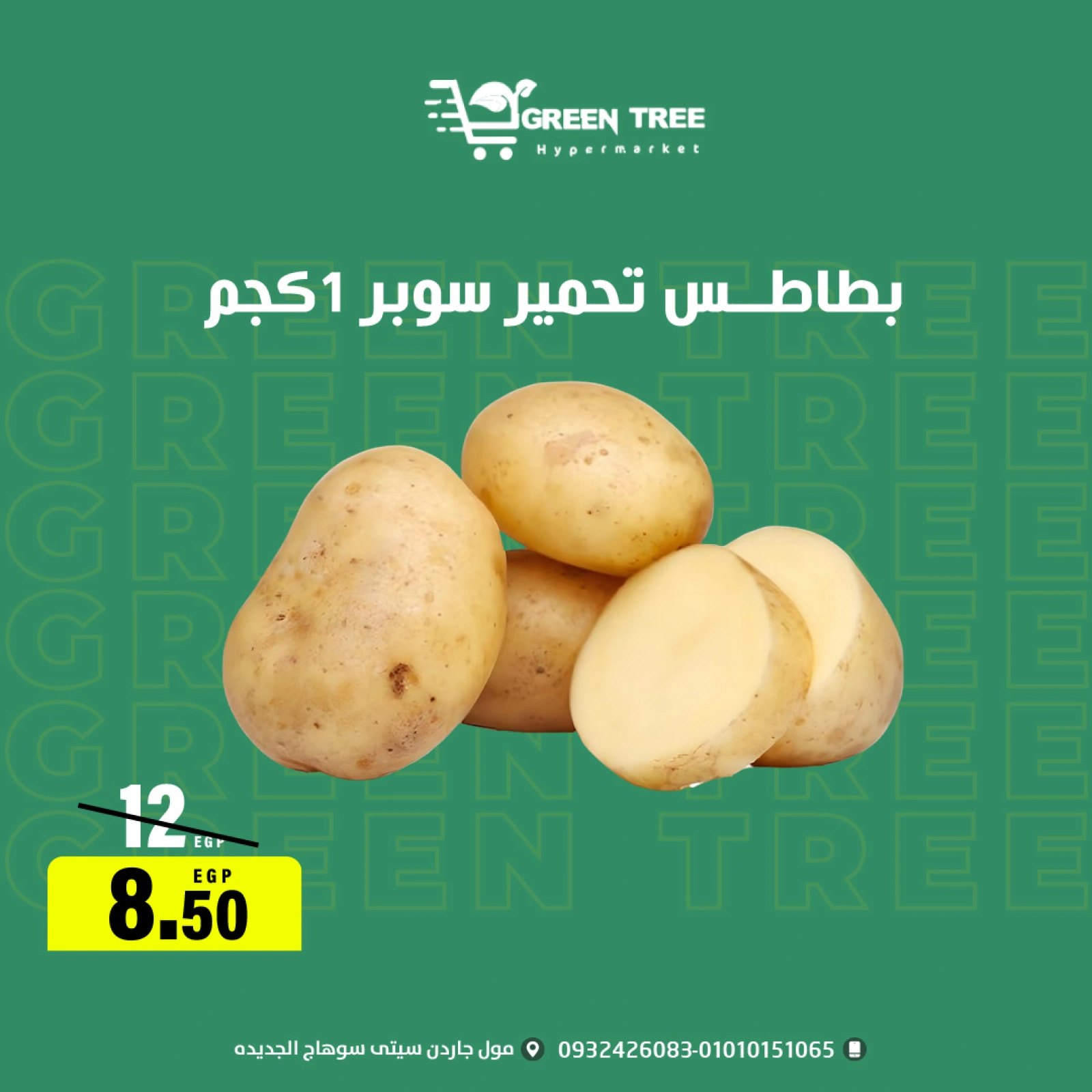 Página 10 |ofertas de verano en Green Tree Egipto