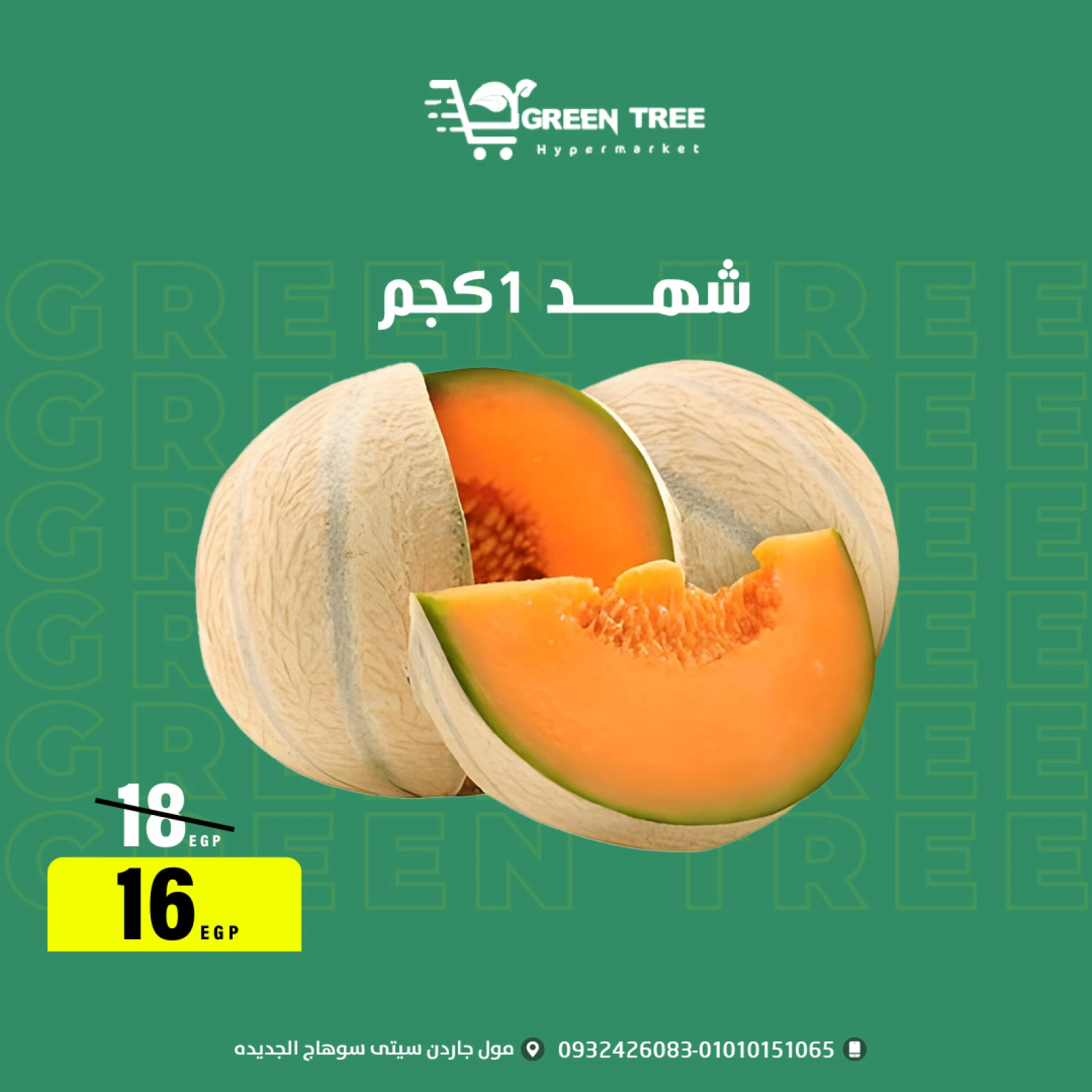 Página 2 |ofertas de verano en Green Tree Egipto