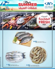 صفحة 10 |صفقات الصيف لدي النصر الكويت