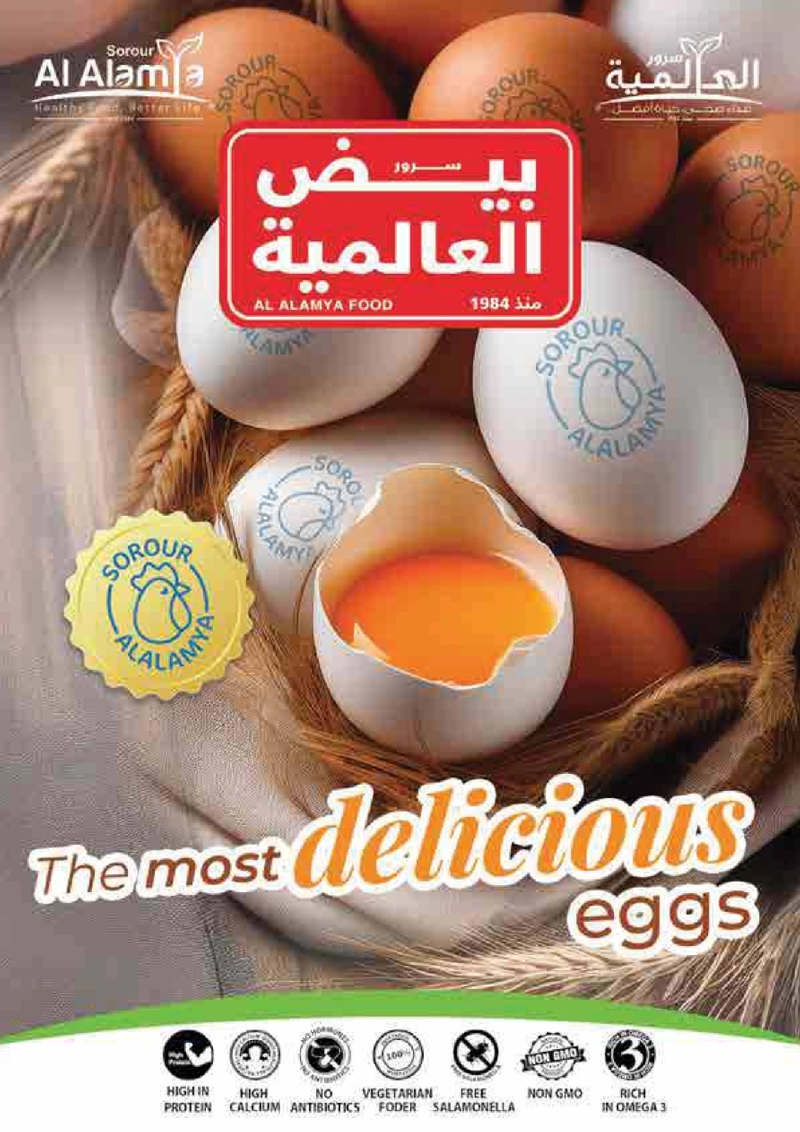 Página 22 |Ofertas de aniversario en Gourmet Egipto