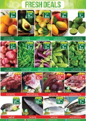 Página 2 |ofertas semanales en City flower Arabia Saudita