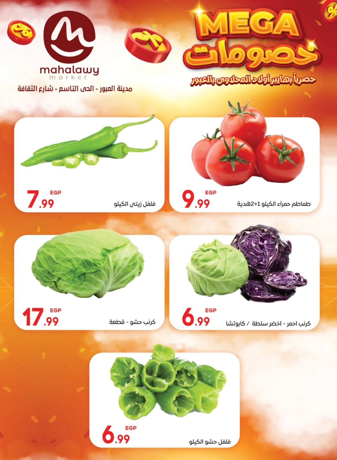 Page 6 |Mega Discount at El mhallawy Sons Egypt