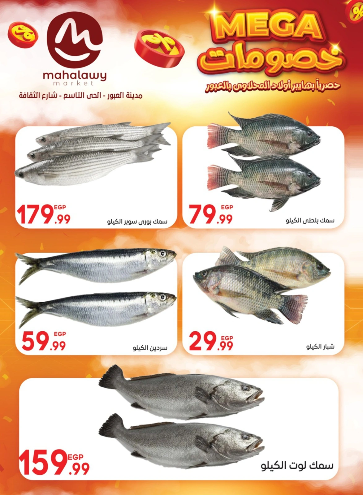 Page 8 |Mega Discount at El mhallawy Sons Egypt