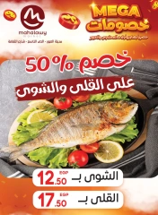 Page 9 |Mega Discount at El mhallawy Sons Egypt