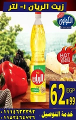 Page 13 |Strongest discounts at Al-Kawawi Market Egypt