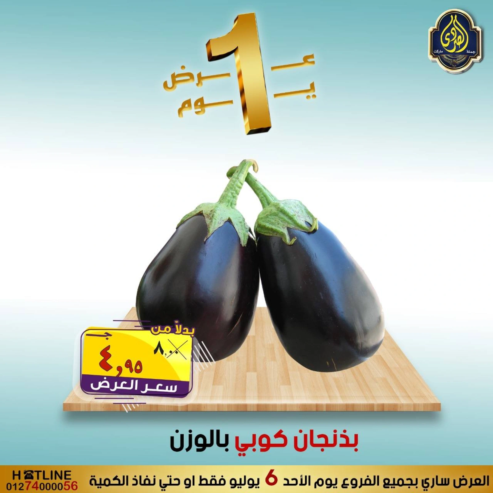 Page 14 |One day offers at El Sorady market Egypt