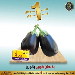 Page 14 |One day offers at El Sorady market Egypt