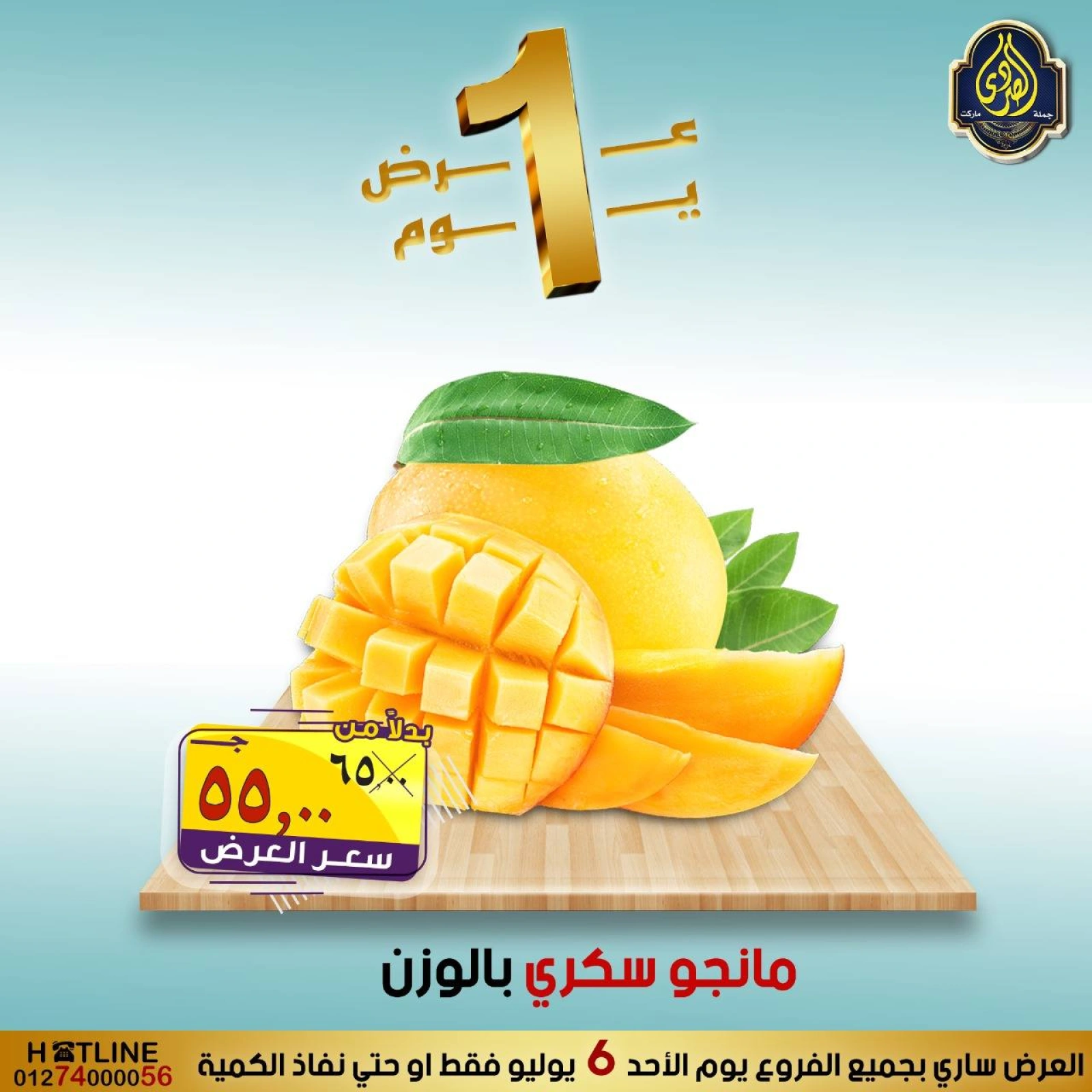 Page 12 |One day offers at El Sorady market Egypt