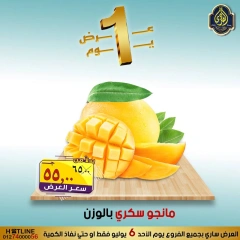 Page 12 |One day offers at El Sorady market Egypt
