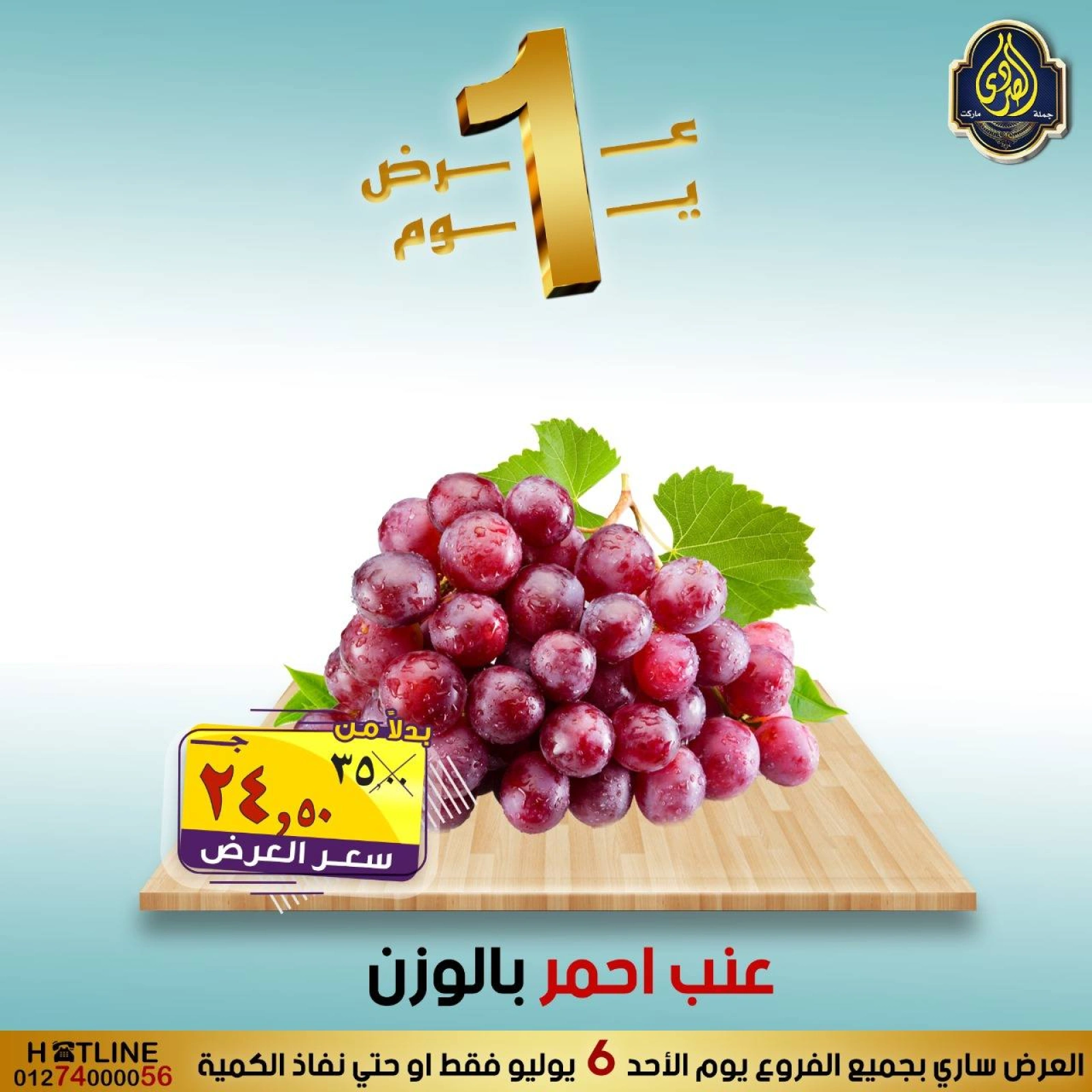 Page 11 |One day offers at El Sorady market Egypt