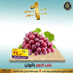 Page 11 |One day offers at El Sorady market Egypt